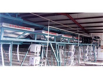 蛋、種雞自動(dòng)給料機(jī)